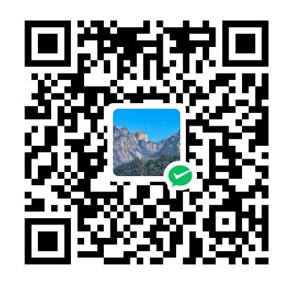 STranslate 界面截图 1